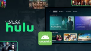 How to Watch Hulu on Android TV [Best Guide in May 2024]