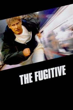 The Fugitive on Hulu