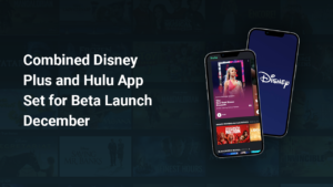 Combined Disney Plus and Hulu App Set for Beta Launch in December
